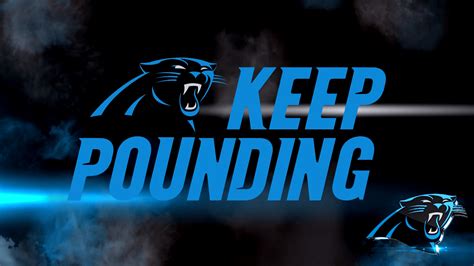 Panthers Wallpapers Wallpaper Cave