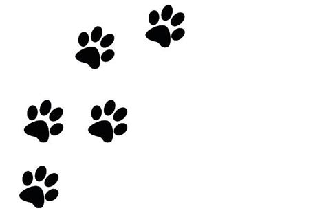 Royalty Free Paw Print Pictures Images And Stock Photos Istock