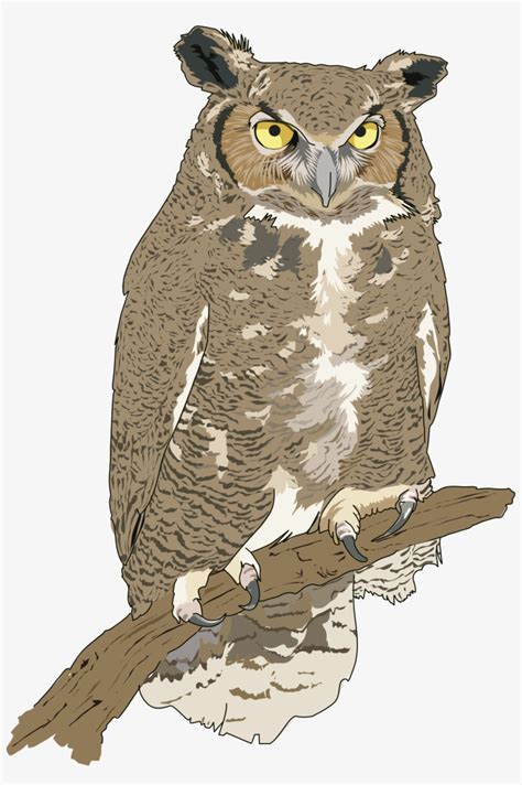 Cut Clipart Realistic Owl Clip Art Free Transparent Png Download