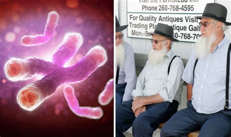 Amish Hold Secret For Longer Life After Mutant Gene Discovered By