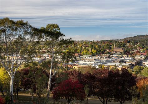 Armidale Accommodation Maps Attractions Visit Nsw