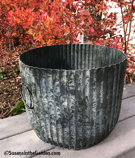 Galvanized Ribbed Barrel Planters Are Coolest Ever Susans In The Garden