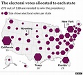 US election 2020: A really simple guide - BBC News