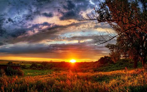 Sunset Field Trees Landscape Wallpapers Hd Desktop And Mobile