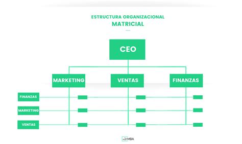 Los Diferentes Tipos De Estructuras Organizativas De Una Empresa