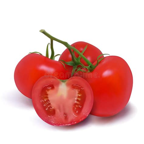 Red Tomatoes Stock Illustrations 15155 Red Tomatoes Stock