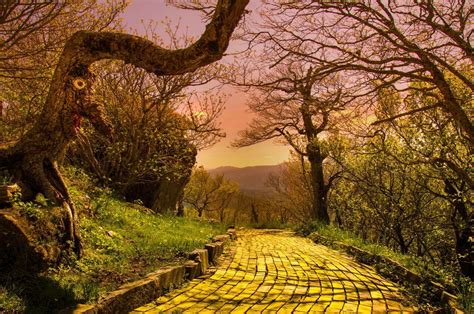 Stunning Photos Show Now Abandoned ‘land Of Oz Theme Park In North