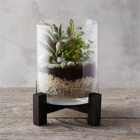 There are two types of terrariums: Open Terrarium with Stand - Terrain in 2020 | Open ...