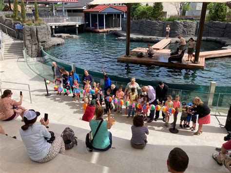 Como Harbor Is Now Open Como Zoo Conservatory