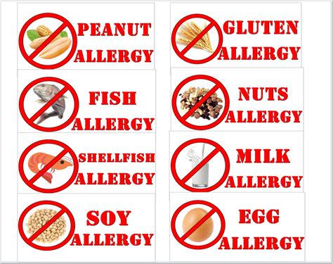 12 Pcs Most Food Allergies Stickersmilk Allergypeanut Etsy