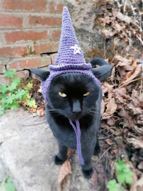 Purple Wizard Hat Cat Hat Hats For Cats Pet Costume Dog Etsy