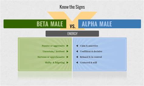 Are You A High Status Male Alpha Male Alpha Male Quotes Alpha Male