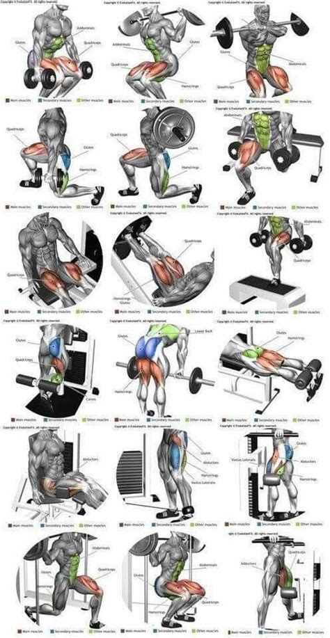 Leg Exercises Ejercicios Musculacion Entrenamiento Piernas