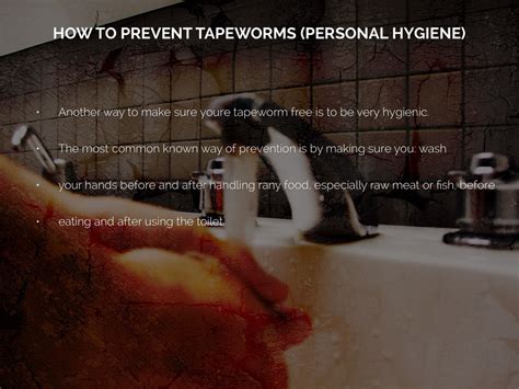 How To Prevent Tapeworms By Karla Lopez
