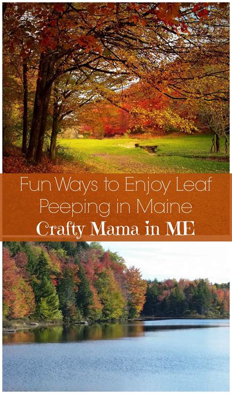 Fun Ways To Enjoy Leaf Peeping In Maine Visit Belfast Coastal Fall