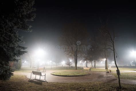 Foggy Park Alley With Benches At Night Stock Image Image Of Cold
