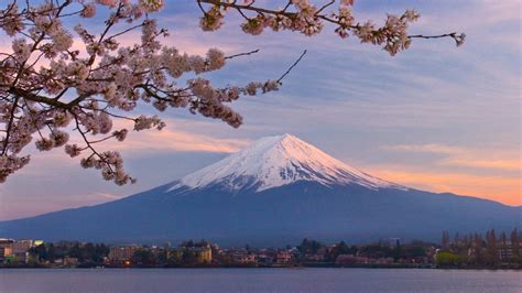 10 Best Cherry Blossom Japan Wallpaper Full Hd 1920×1080 For Pc Desktop