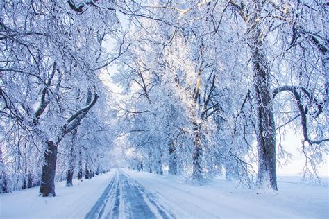 1230x820 Nature Landscape Cold Morning Road Winter Snow Sunlight