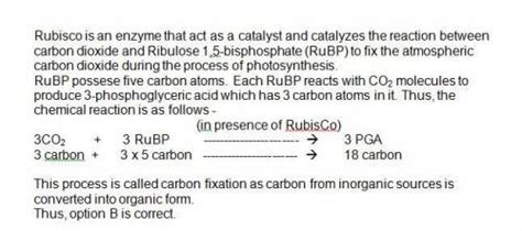 The compounds are then used to store energy and as structure for other biomolecules. Which process is catalyzed by rubisco during the light ...