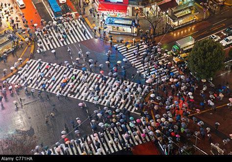 Asia Japan Tokyo Shibuya Shibuya Crossing Crowds Of People