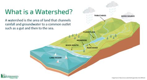 Watershed Project Aims To Improve Water Quality In The Territory St