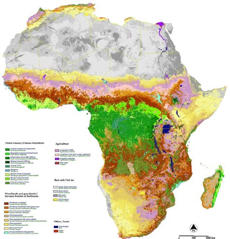 Climate and vegetation of africa exploring africa. Land-cover map of Africa for the year 2000 derived from SPOT VEGETATION... | Download Scientific ...