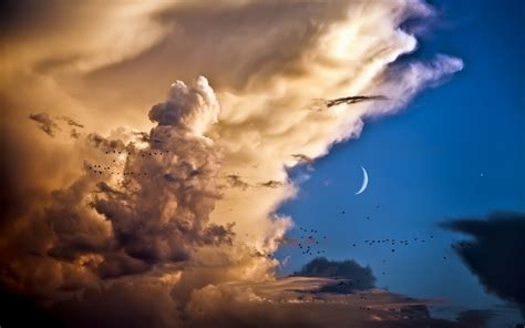 Nature Sky Clouds Billow Soft Thunderhead Moon Cresent Animals