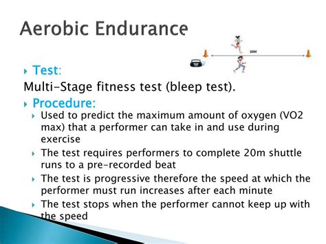 Ppt Unit 1 Fitness For Sport And Exercise Powerpoint Presentation