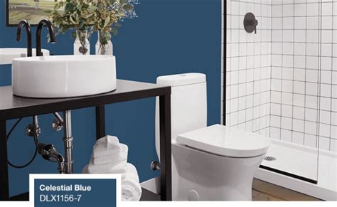 Dulux Bathroom Paint Colors 2021 2022 Planner Target 41 Interior Color