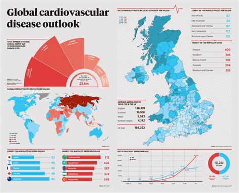 Global Cardiovascular Disease Infographic Disease