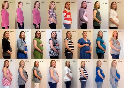 The Story Of Us Updated Baby Bump Collage