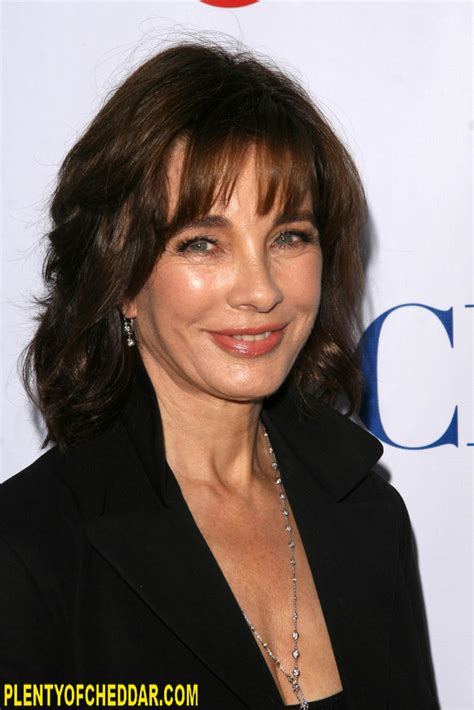 Anne Archer Net Worth Plenty Of Cheddar