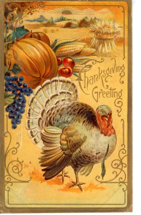 Vintage Thanksgiving Postcards Thanksgiving Greetings Thanksgiving