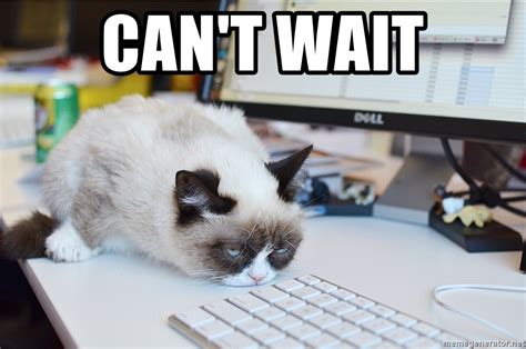 Cant Wait Grumpy Cat At Work Meme Generator