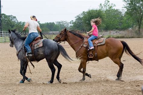 Los Livingstons Horseback Riding Lessons