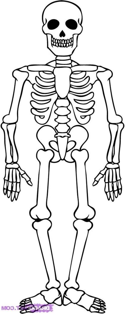 Awesome Skeleton Drawing Coloring Page Kids Play Color Skeleton
