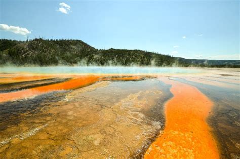 The Best Time To Visit Yellowstone Trekbible