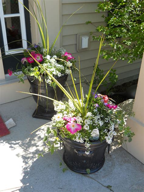Spring Has Sprung English Garden Themed Flower Pots