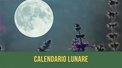Calendario Lunare Semine Lorto Con Larens