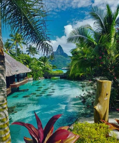 Beauty Of Bora Bora Dream Vacations Destinations Dream Travel