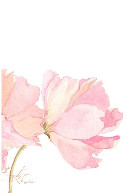 ¿te gustaría decorar tu jardín con las flores más hermosas del mundo? Pin de 大M en Places to Visit | Acuarela floral, Papel ...