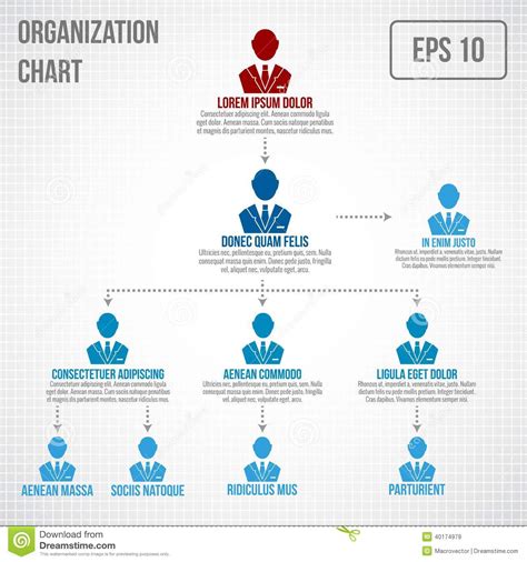 Organizational Chart Infographic Stock Vector Illustration 40174979