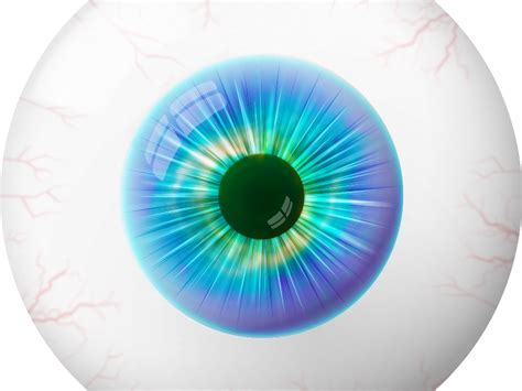 Human Eye Png 10 Free Cliparts Download Images On Clipground 2024