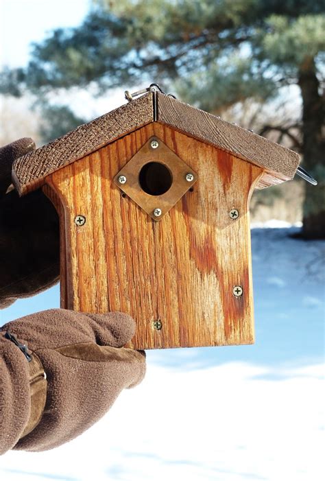 A Chickadee Nest Box Is Ready Nesting Boxes Bird Houses Bird House