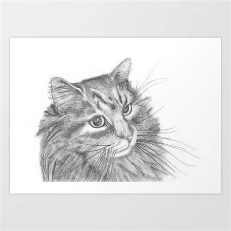 Fluffy Cat Pencil Drawing Art Print By Scentofaccusation Society6