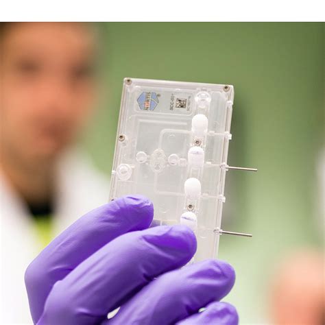 Kidney On A Chip Research Onboard The Iss National Lab