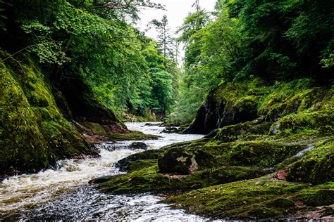 Wallpaper River Stream Forest Stone Moss Hd Widescreen High