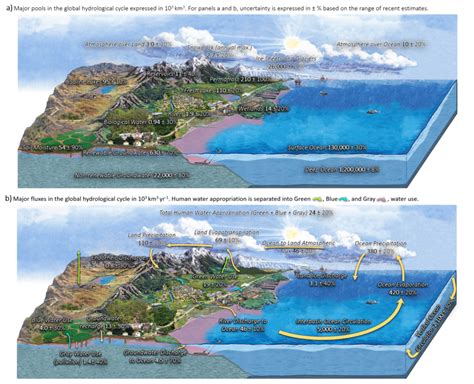 Diagram Of The Global Hydrological Cycle In The Anthropocene A B Download Scientific Diagram