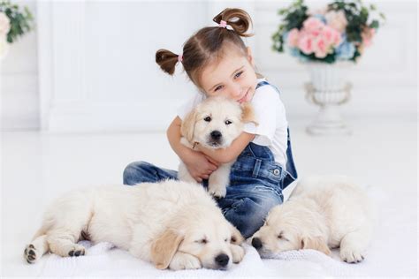 842971 4k Dogs Little Girls Smile Jeans Sitting Puppy Mocah Hd