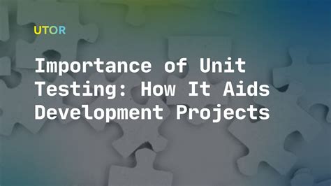 Main Importance of Unit Testing in the Development Cycle - UTOR